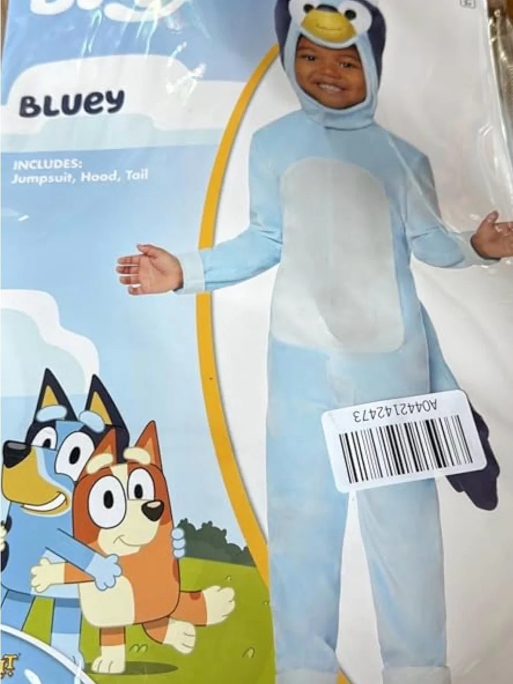 Spirit cute bluey
